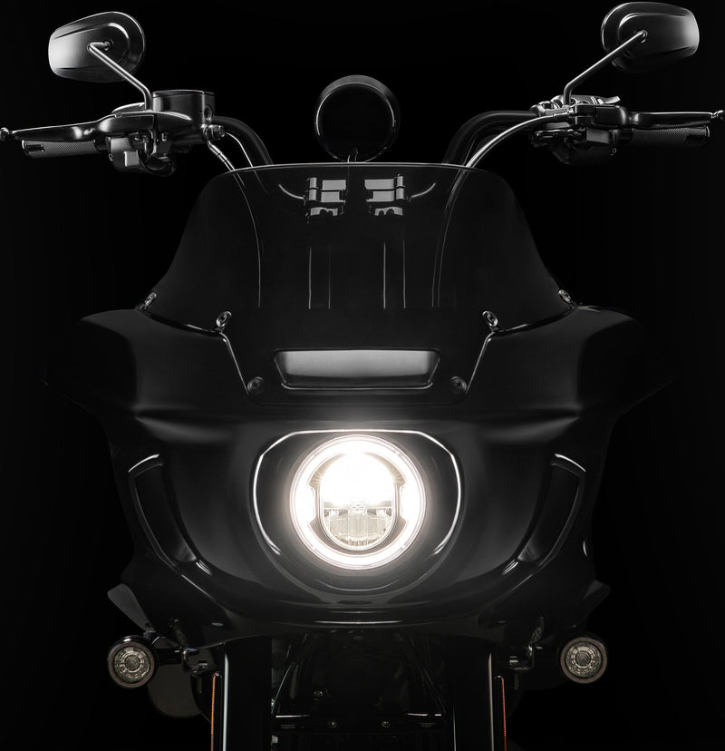 Dominator for 2025-2026 LOW RIDER ST